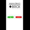amazing brick